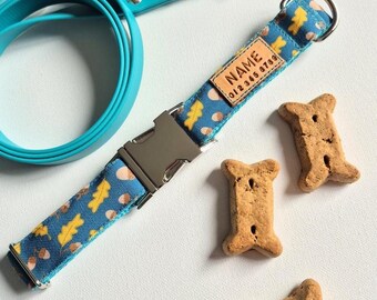 Golden Leaves & Acorns Dog Collar: Stain Resistant, Teal, Personalized Option