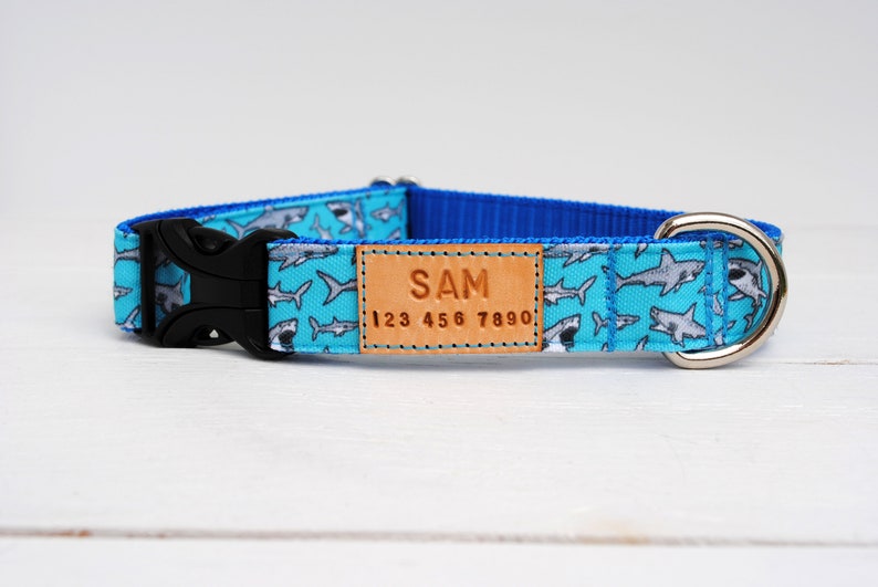 STAIN RESISTANT blue shark dog collar with personalized tag option and a metal or YKK buckle option, waterproof and stain resistant image 1