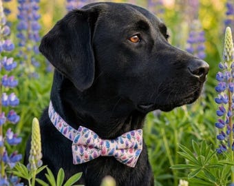 Lupins on Pink Over-the-collar Dog Bow, bowtie, water resistant, stain resistant, elastic back