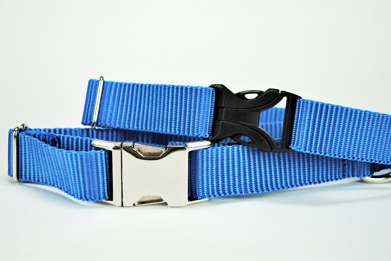 STAIN RESISTANT blue shark dog collar with personalized tag option and a metal or YKK buckle option, waterproof and stain resistant image 4