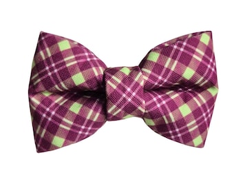 Purple and Green Plaid Over-the-collar Dog Bow, bowtie, water resistant, stain resistant, elastic back