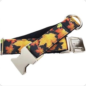 Maple Leaves Dog Collar: Stain Resistant Canvas, Personalized ID Tag