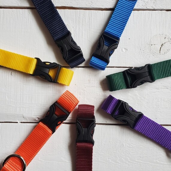 Plain Webbing Dog Collar: Metal or YKK Buckle, Personalized Tag Option