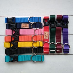 May include: A collection of nylon dog collars in various solid colors including blue, navy, pink, orange, yellow, black, teal, red, dark green, burgundy, and purple. Each collar features a black plastic side-release buckle and a silver metal D-ring.