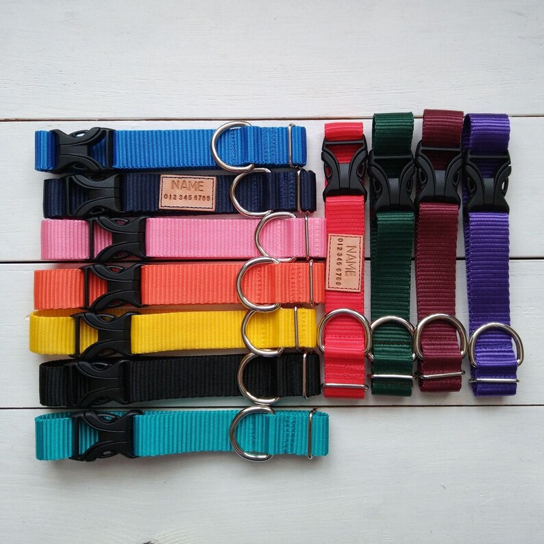 May include: A collection of nylon dog collars in various solid colors including blue, navy, pink, orange, yellow, black, teal, red, dark green, burgundy, and purple. Each collar features a black plastic side-release buckle and a silver metal D-ring.