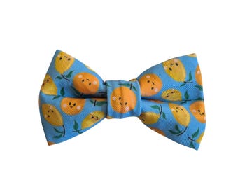 Citrus Fruits Dog Bowtie: Stain Resistant and Durable Over-the-Collar Bow, oranges, lemons