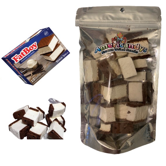 Freezedried Ice Cream Bar Etsy
