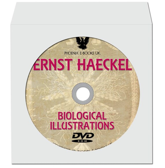 KUNSTFORMEN Der NATUR + other works, Ernst Haeckel 307 Color High Res Art plates DVD-Rom 300dpi Scrapbooking Nature Images