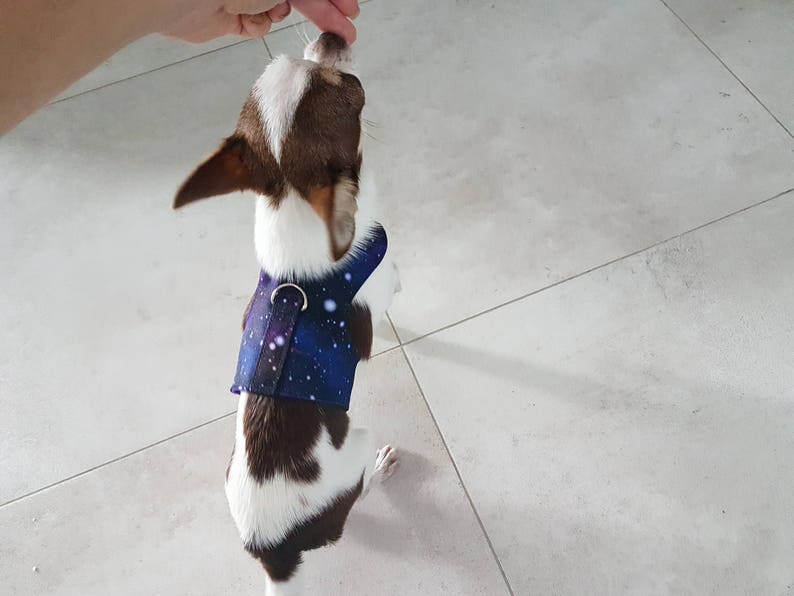 Waterproof Galaxy Small Dog Harness Etsy