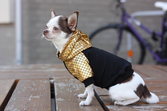 designer dog hoodie