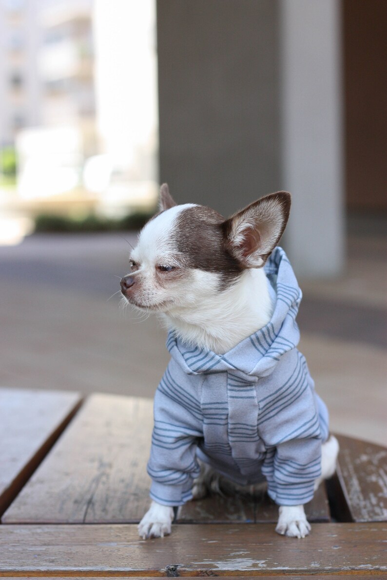 Grey dog hoodie sweater grey dog sweater dog costume sweater Etsy