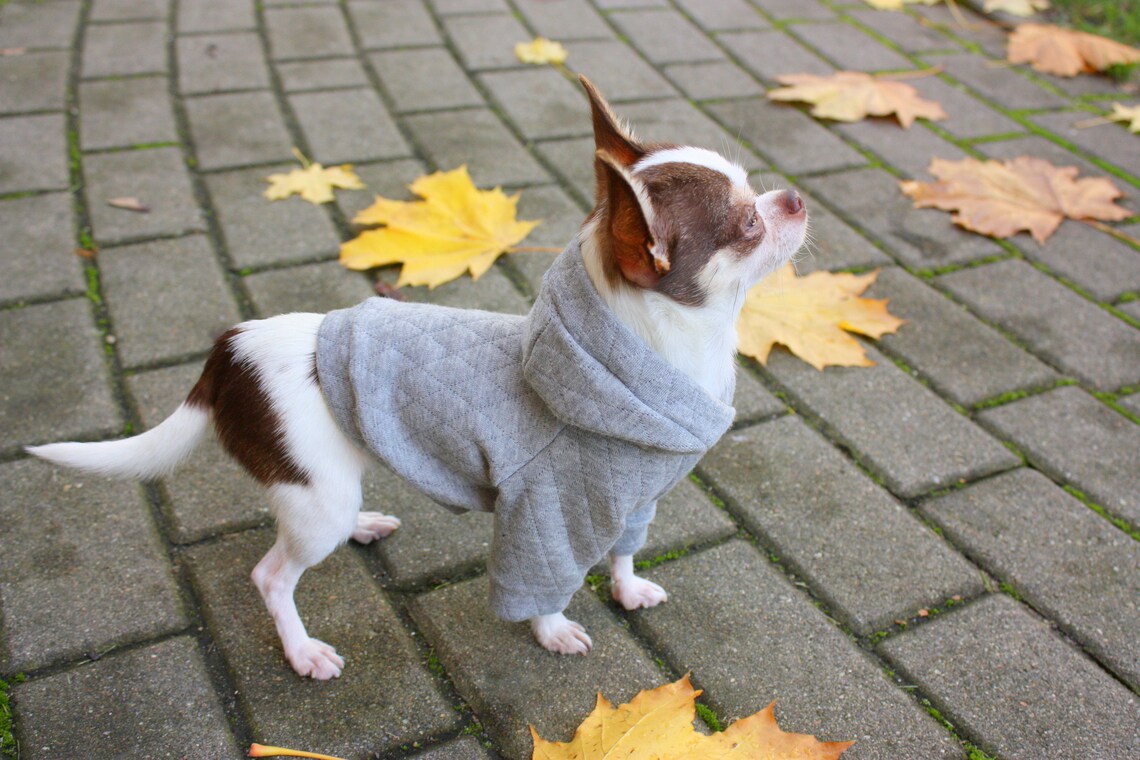 Grey dog sweater grey dog hoodie dog costume sweater dachshund Etsy