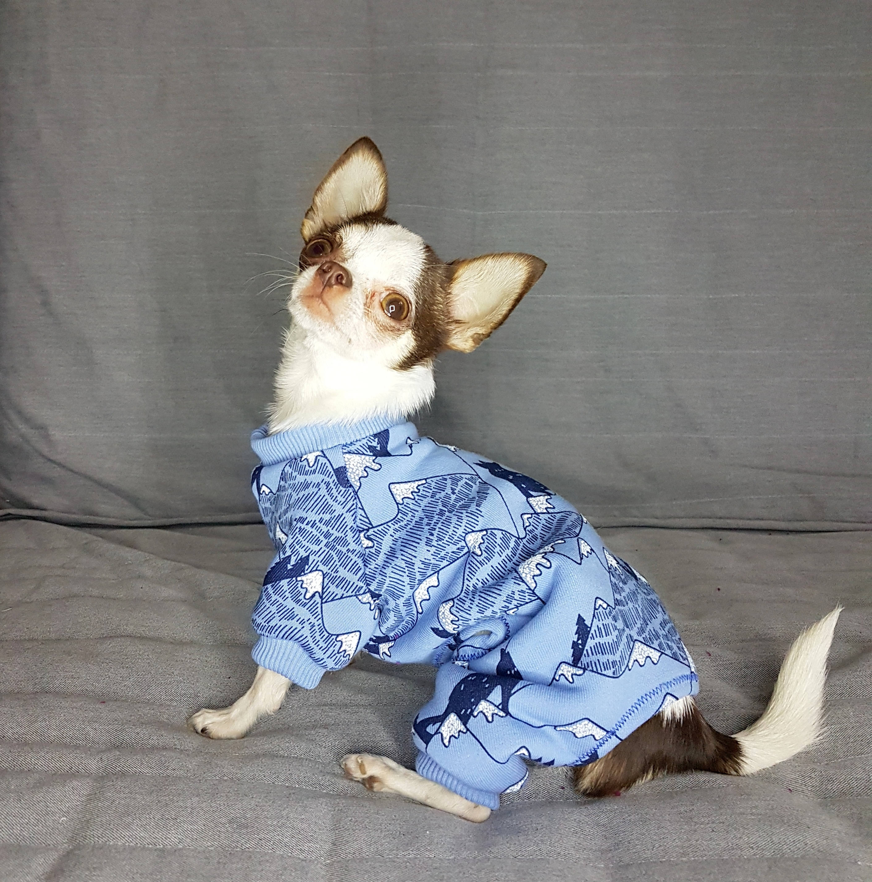 Hund Pyjamas Fleece Hund Pyjamas Hund Pjs Hund Ganzkörper Etsy