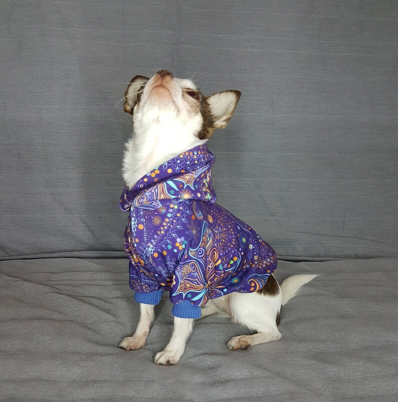 Dog hoodie sweater boy dog hoodie xxs dog clothes dog jumper Etsy