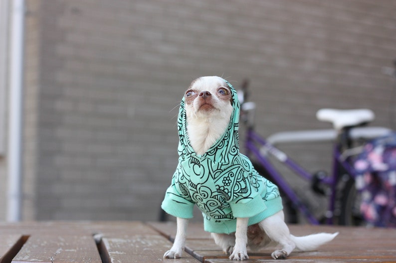 Dog hoodie coat yorkie sweater large dog costume sweater Etsy