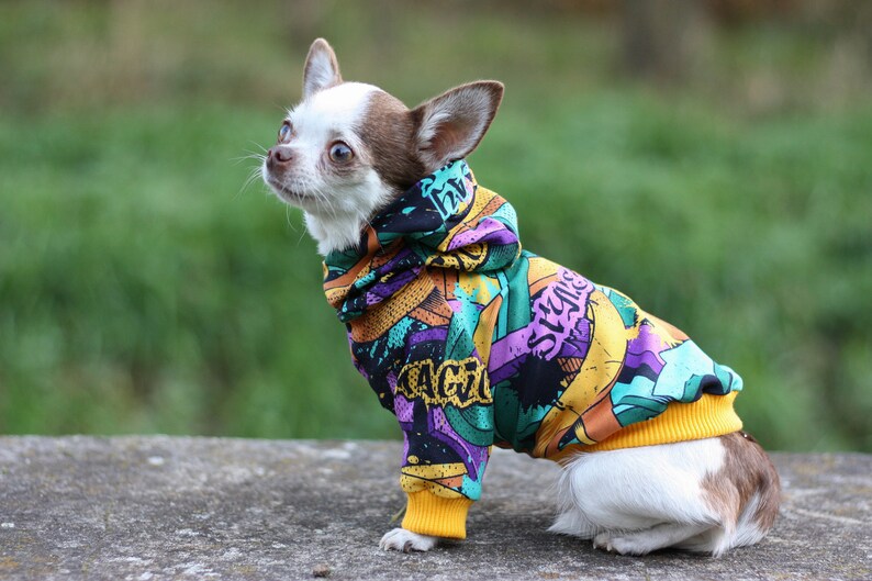 yellow Graffitti Dog Hoodie