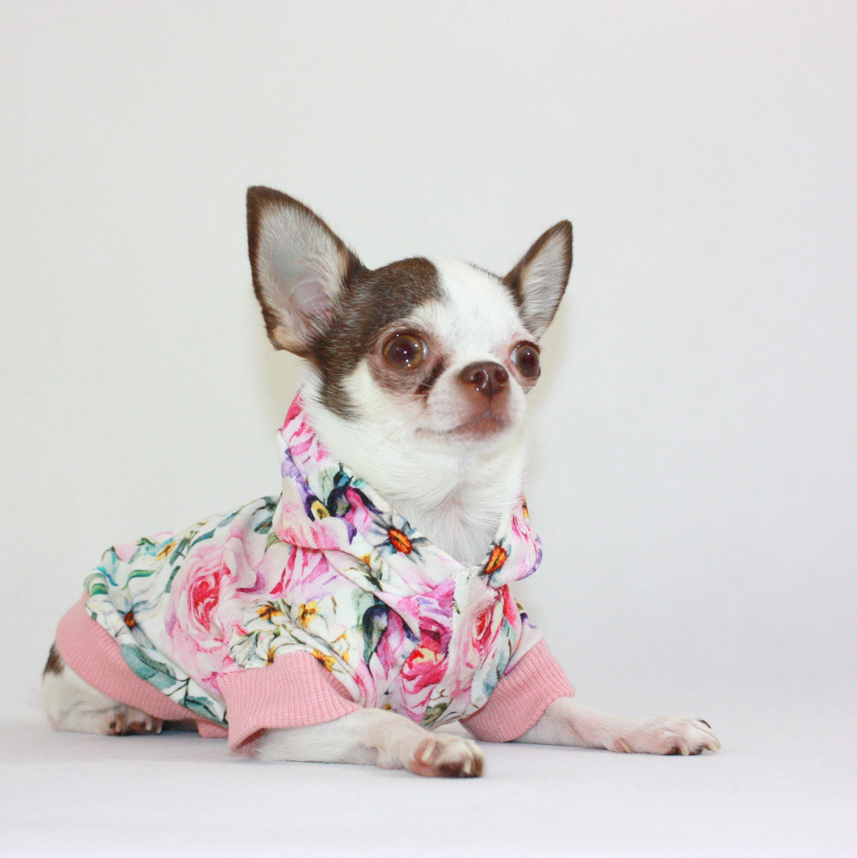 small dog sweatshirts