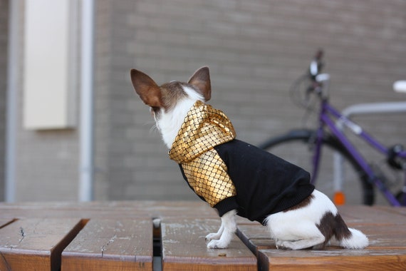 clothes for pitbulls