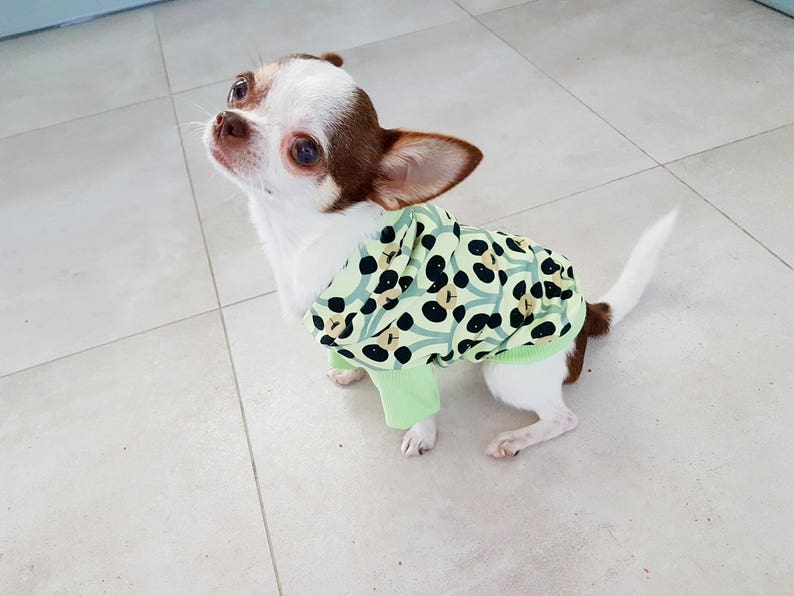 Custom dog hoodie xxs designer dog yorkie clothes dog Etsy