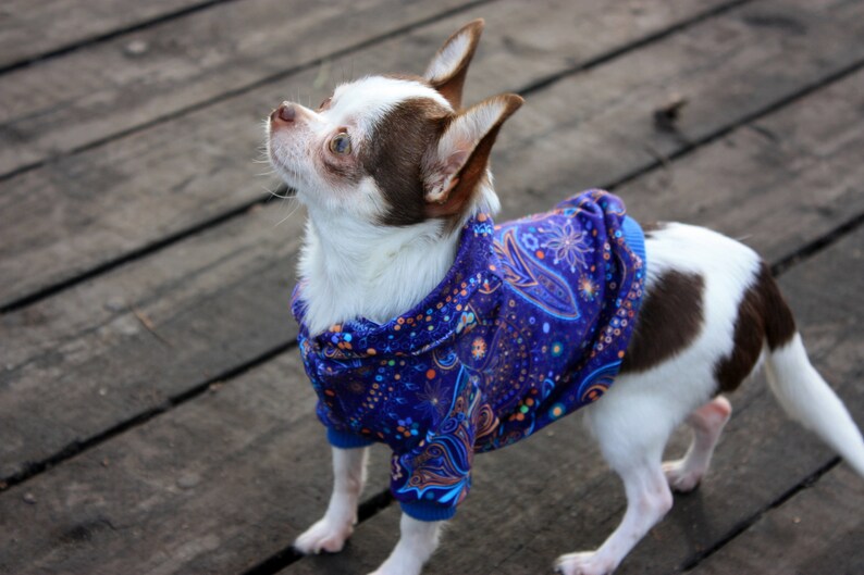 Dog hoodie sweater boy dog hoodie xxs dog clothes dog jumper Etsy