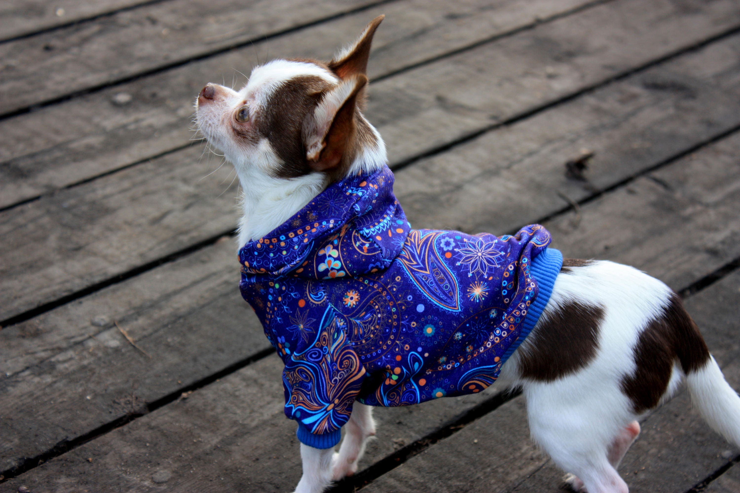 Dog hoodie sweater boy dog hoodie xxs dog clothes dog jumper Etsy