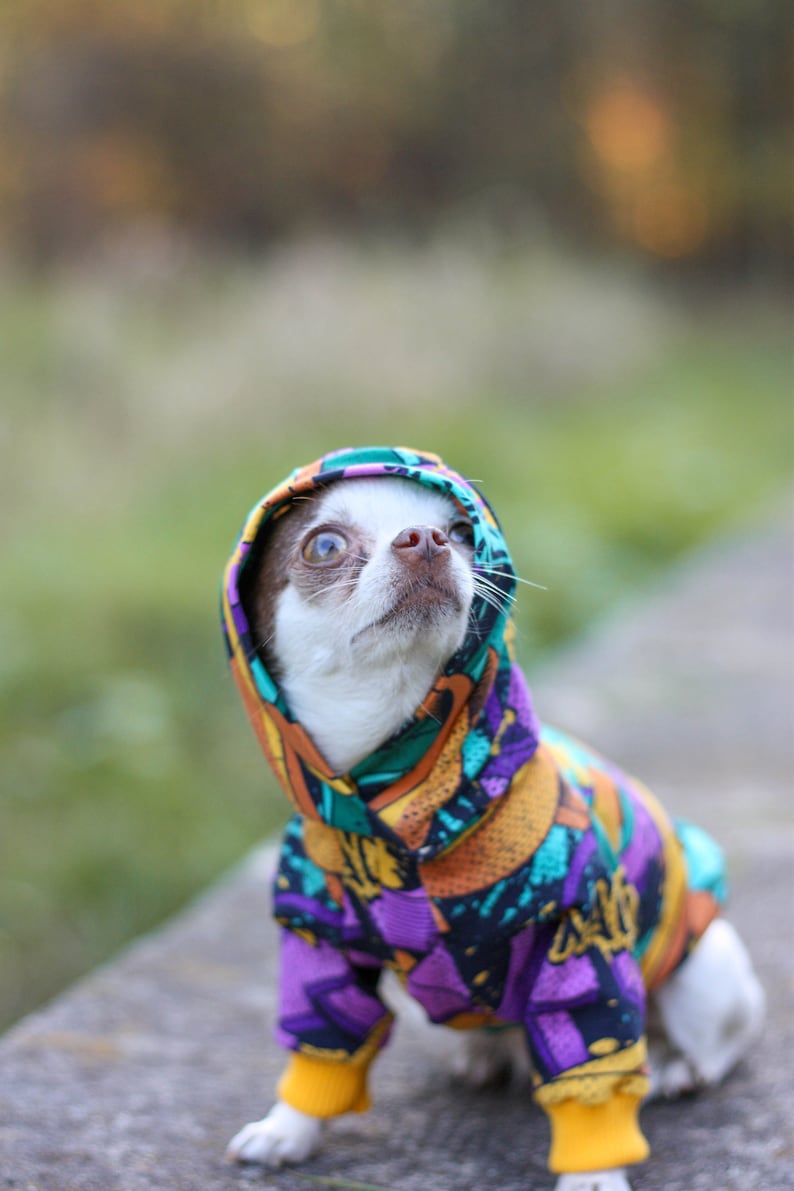 yellow Graffitti Dog Hoodie