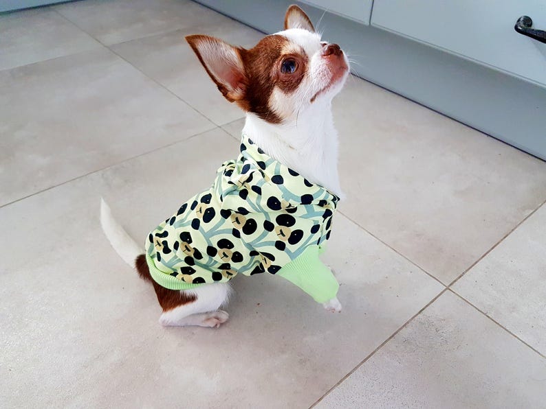 Custom dog hoodie xxs designer dog yorkie clothes dog Etsy