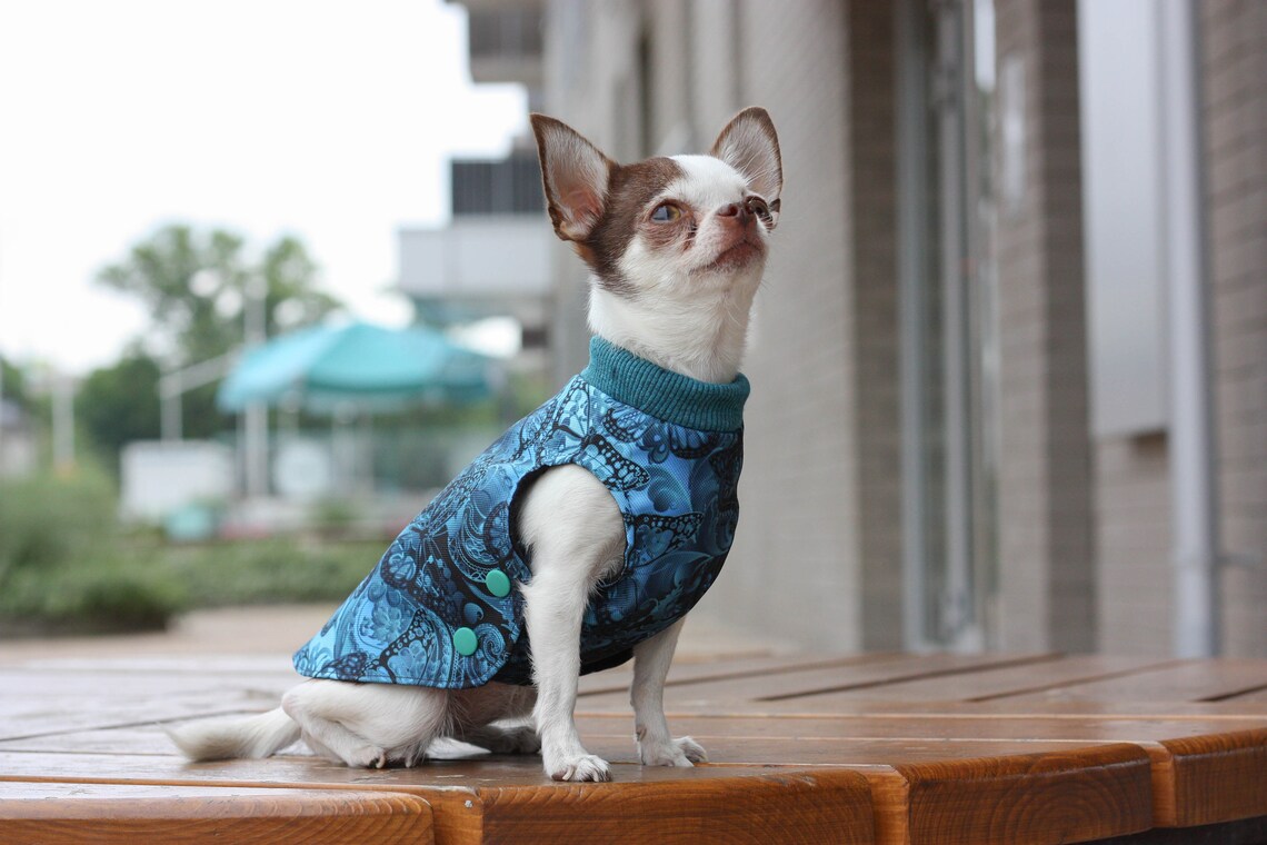 NAVY FLEECE DOG coat Etsy