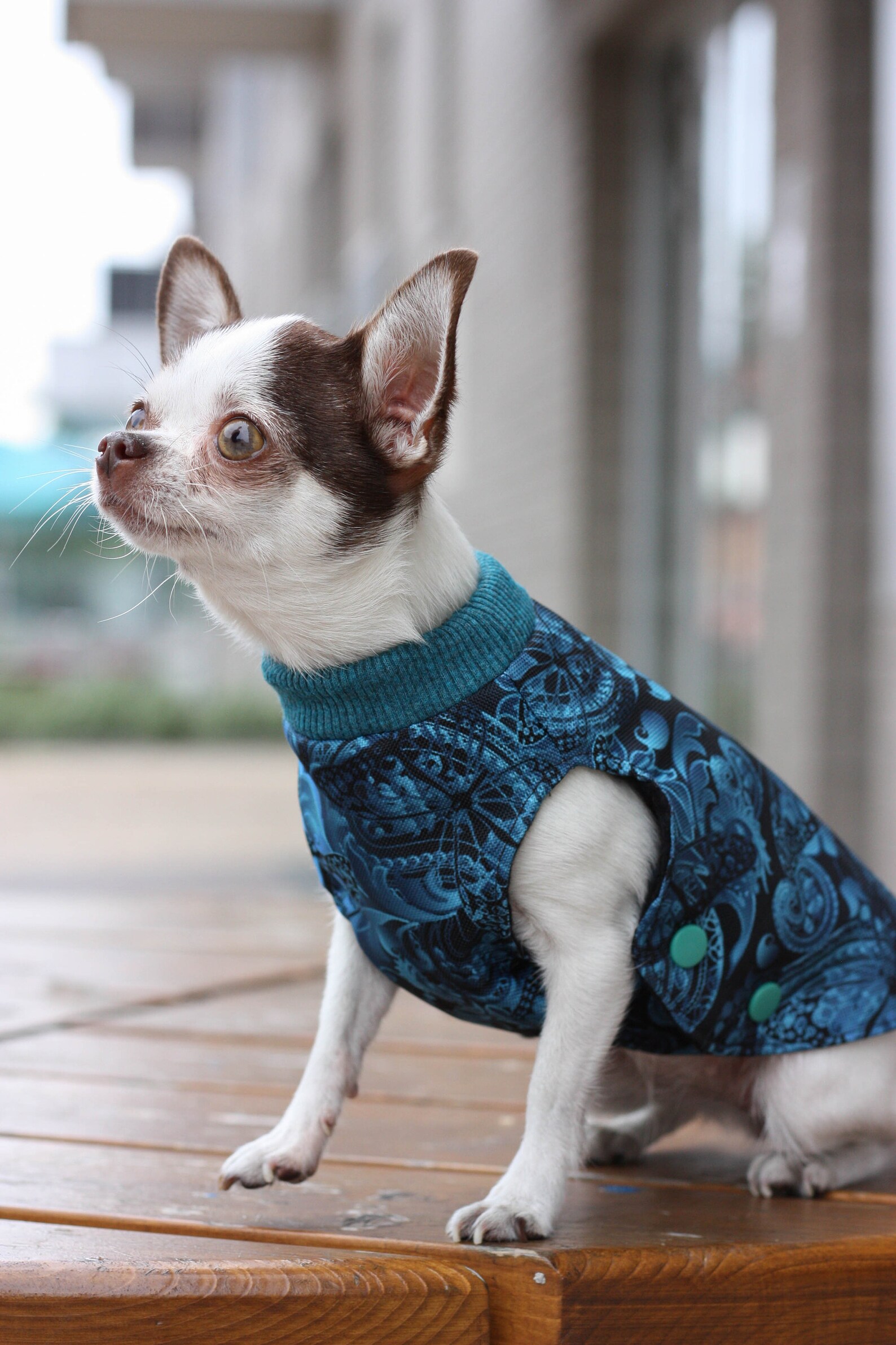 NAVY FLEECE DOG coat Etsy