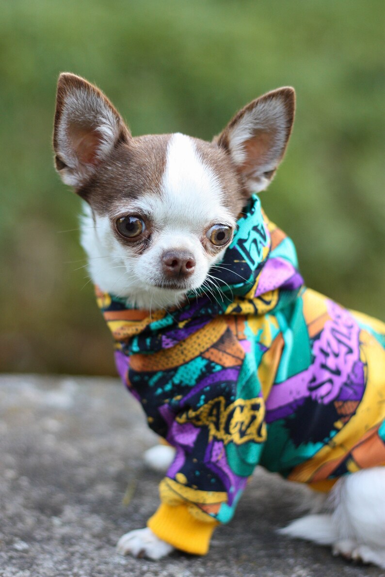 yellow Graffitti Dog Hoodie