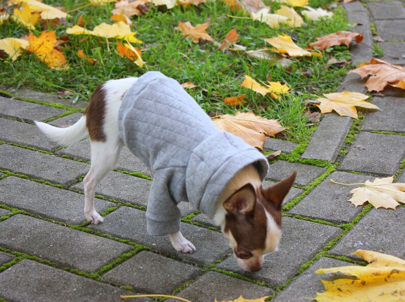 Grey dog sweater grey dog hoodie dog costume sweater dachshund Etsy