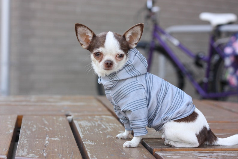 Grey dog hoodie sweater grey dog sweater dog costume sweater Etsy