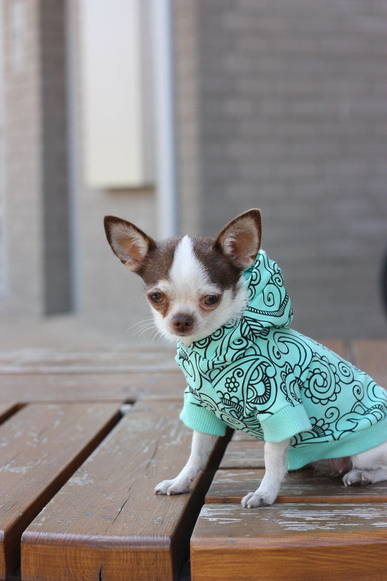 Dog hoodie coat yorkie sweater large dog costume sweater Etsy