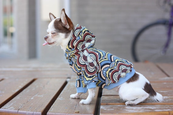 pitbull dog sweatshirts