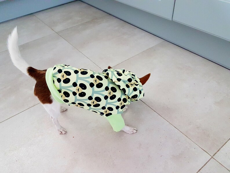 Custom dog hoodie xxs designer dog yorkie clothes dog Etsy