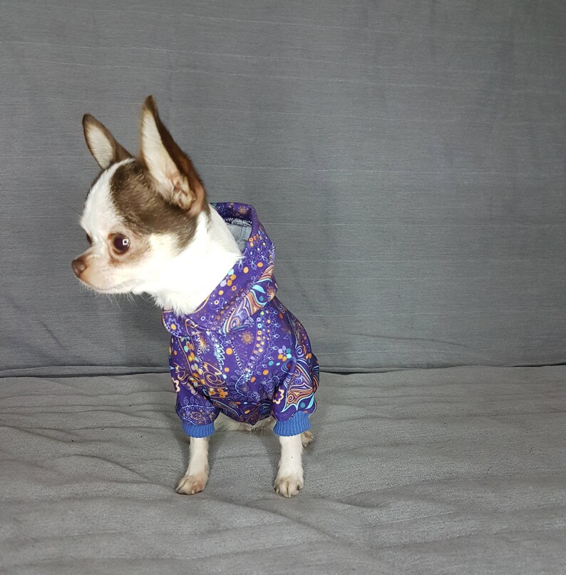 Dog hoodie sweater boy dog hoodie xxs dog clothes dog jumper Etsy