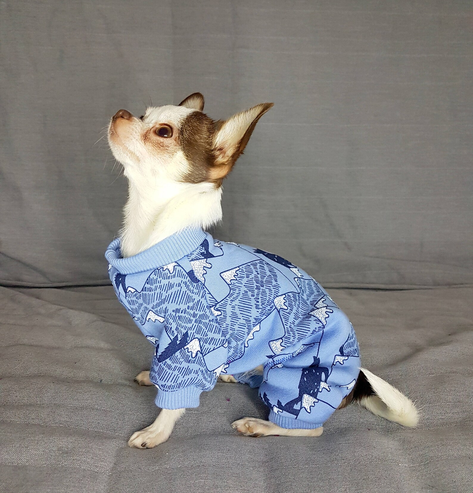 Hund Pyjamas Fleece Hund Pyjamas Hund Pjs Hund Ganzkörper Etsy