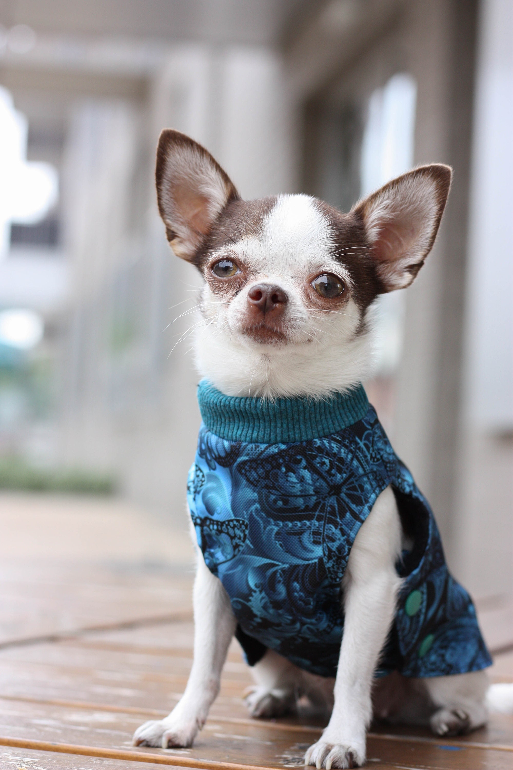 NAVY FLEECE DOG coat Etsy