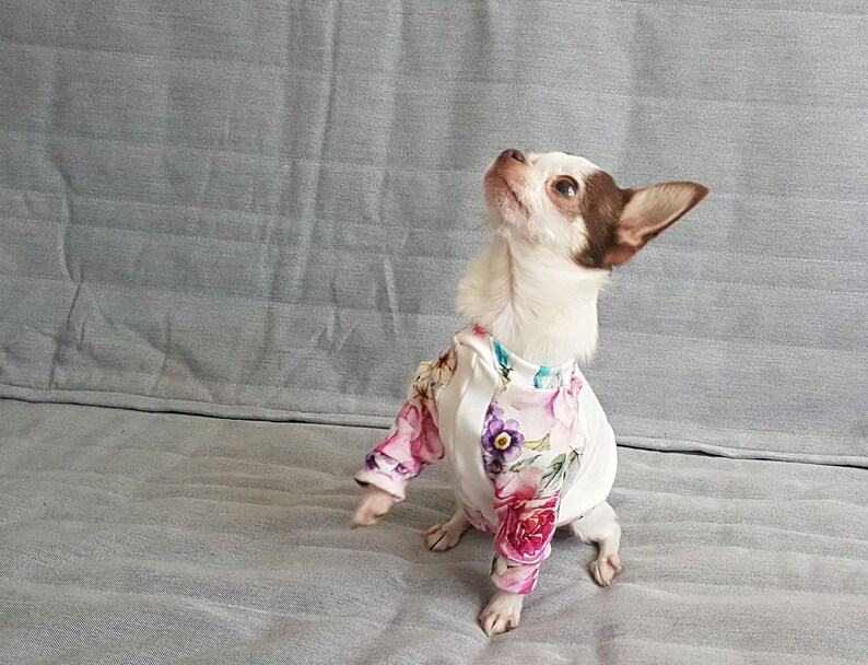 Small dog clothes small dog sweater yorkie sweater dog Etsy