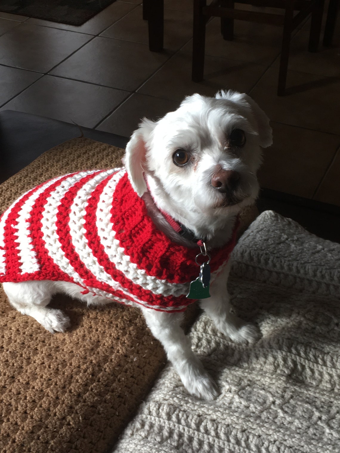 Christmas Dog Sweater Made to Order Etsy
