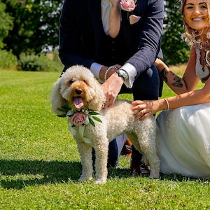 Pet Corsage, Wedding, Dog Collar, Dog Neckwear, Flower Collar, Dog of Honour Collar Flowers, flower Adornment Collar Flower