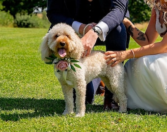 Corsage pour animal de compagnie, mariage, collier pour chien, cravates pour chien, collier floral, collier floral pour chien d'honneur, collier floral fleuri