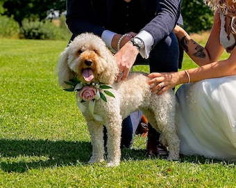 Corsage para mascotas, boda, collar para perros, collar para perros, collar de flores, flores para collar de perro de honor, adorno floral para collar