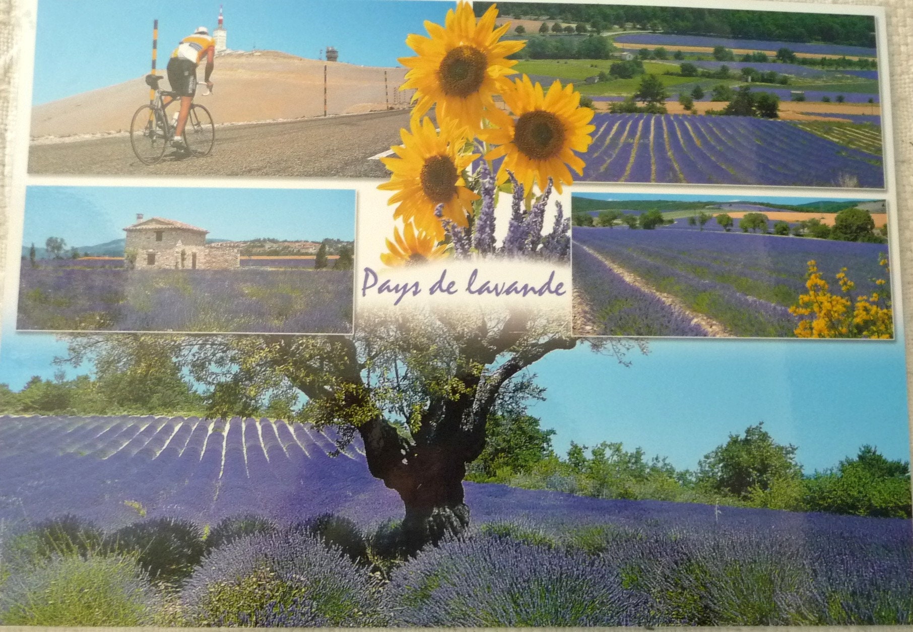 Set de Table Réversible, Déco Cuisine, Set Plastifié, Français, Provence, Pays Lavande, Mont Ventoux