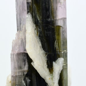 Stikanala Tourmaline Specimen, Pakistan