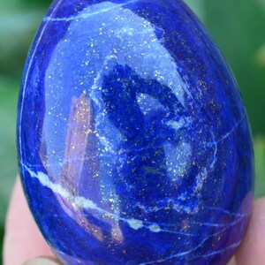Op de afbeelding: Een gepolijste, eivormige lapis lazuli steen. De diepblauwe steen heeft gouden vlekken en witte adering. Het oppervlak is glad en reflecterend, met een lichte glans. De edelsteen wordt in een hand gehouden.