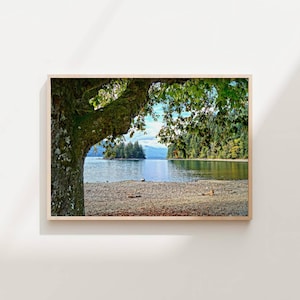 May include: A framed landscape photograph of a serene lake scene. A large tree with green leaves and mossy bark frames the top left. The lake has a rocky shore, with a small island and mountains in the distance. The sky is blue with some clouds.
