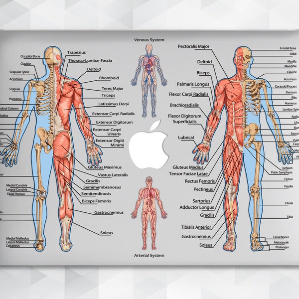 Wissenschaft MacBook Hülle Ästhetisch Medizin MacBook Pro 14 13 16 Air 13 2021 12 15 für Lehrer Doktor Krankenschwester Medizin Anatomie Design Körperhülle