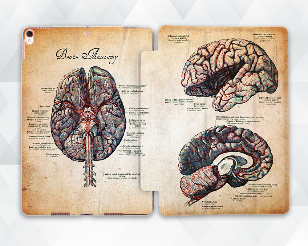 Brain iPad Case Science Aesthetic iPad 10th 10.2 9.7 Pro 11
