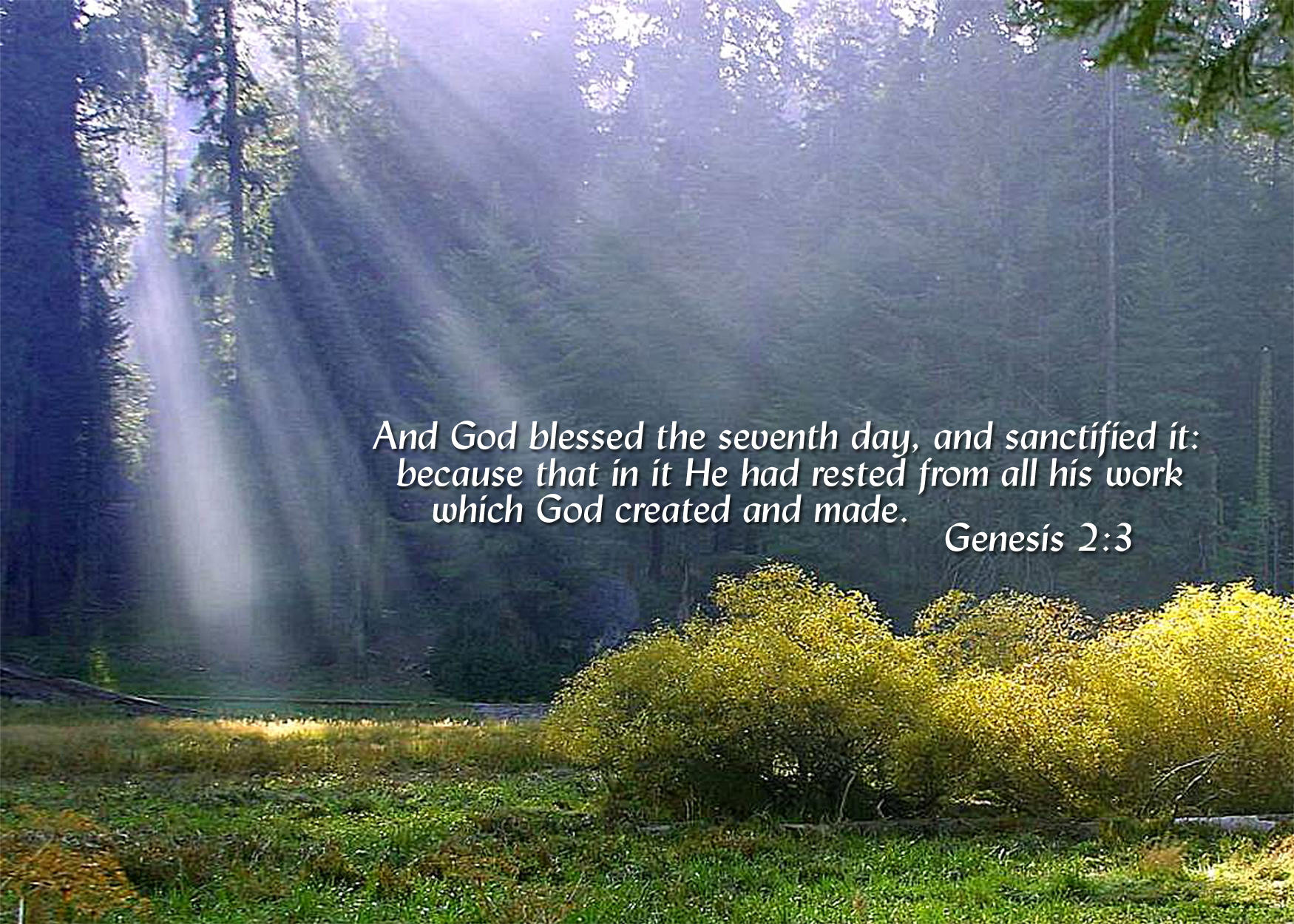 Genesis 2 3 Downloadable Digital Scripture Receive 5 Sizes 5x7 8x10 